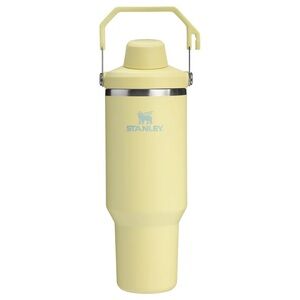 Stanley The IceFlow Tumbler with Fast Flow Lid 30 oz - Pomelo
